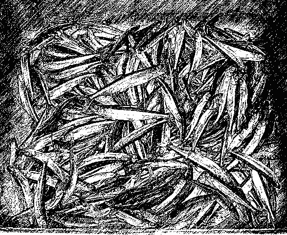 Amy needs a new toothbrush